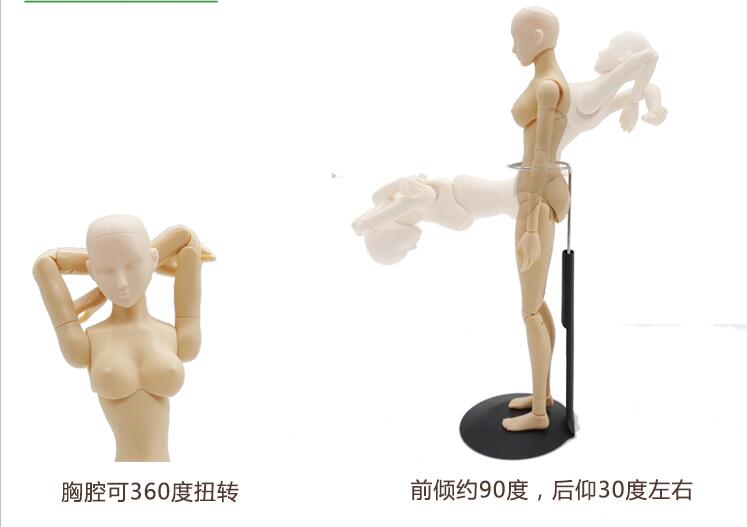 747x527 Sketch Cartoon Drawing Female Mannequin Model Plastic Massage
