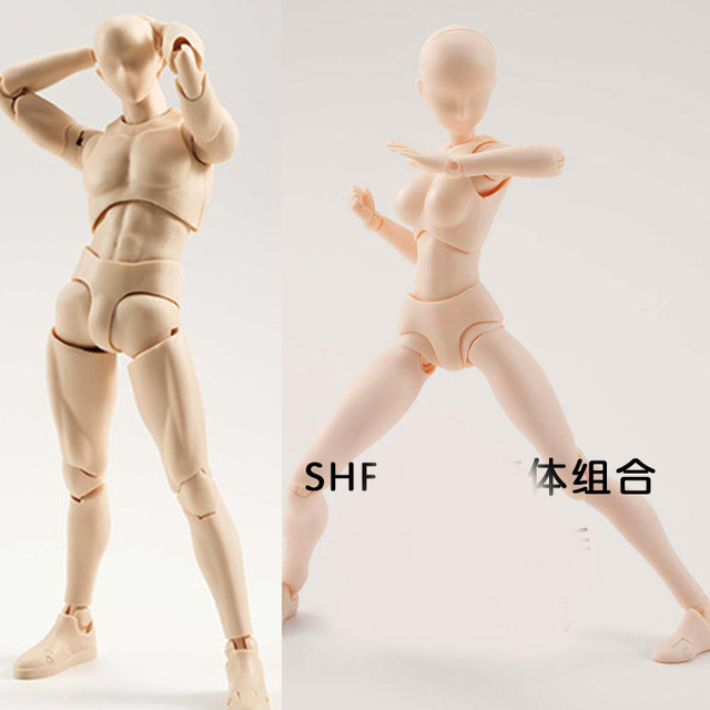 640x640 Male And Female Painted Art Doll Carton Drawing Model Human Body