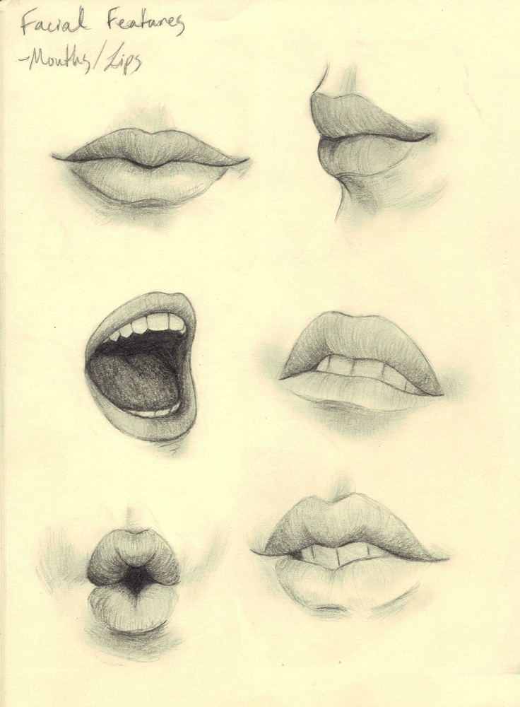 736x1000 Art Tnt Female Mouth Reference Artist Unknown Sketching