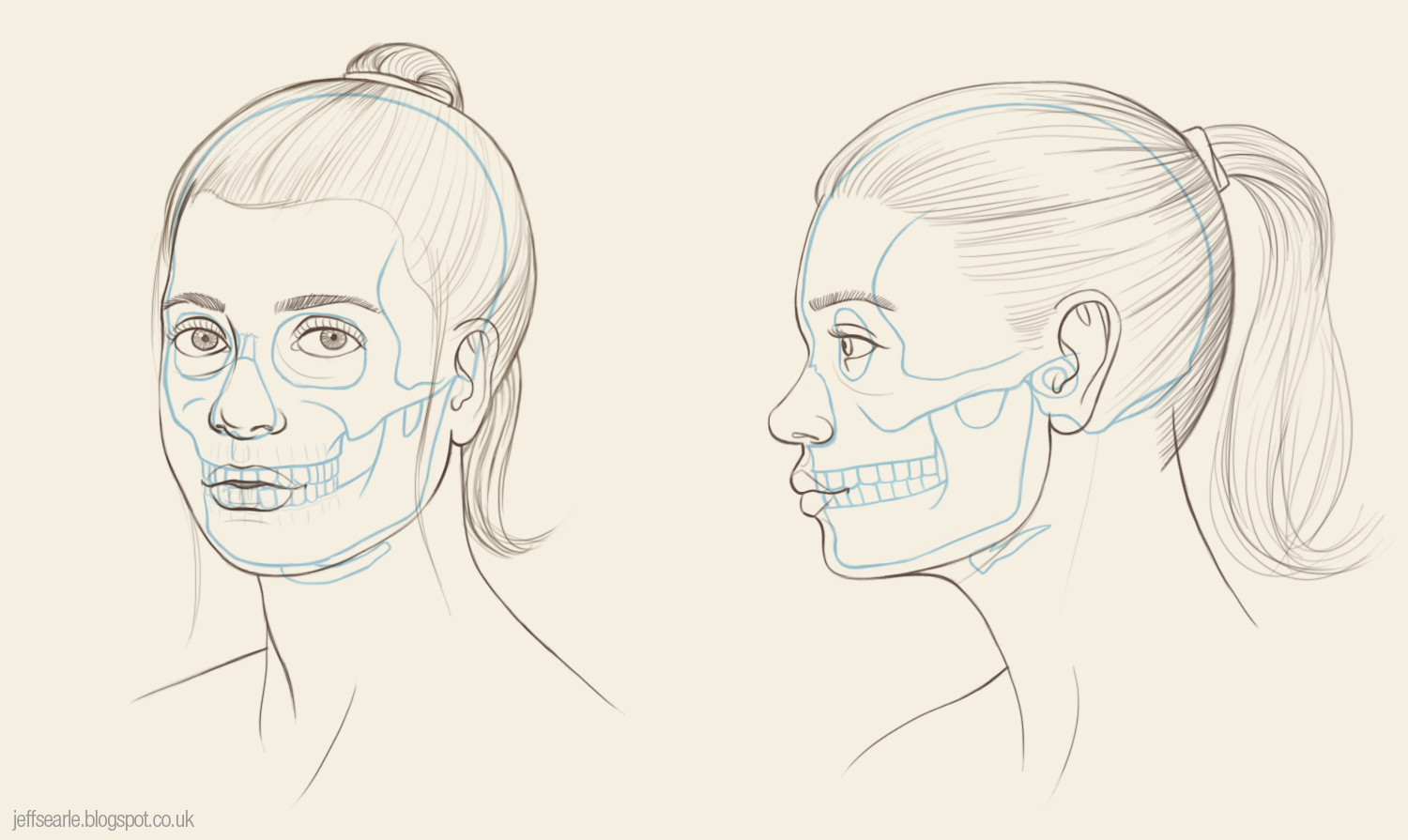 1500x895 Jeff Searle The Human Skull