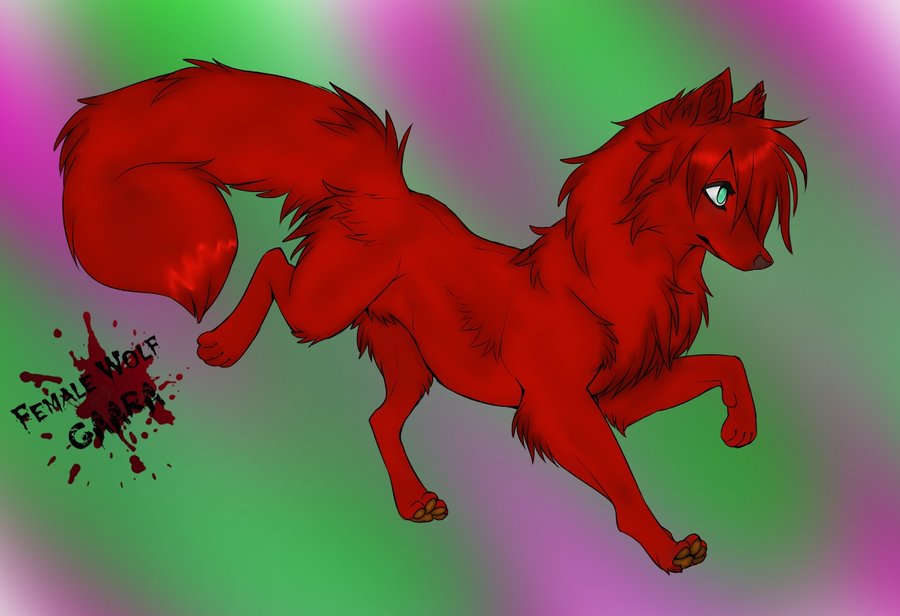 900x616 Female Wolf Gaara By Tigerboo45