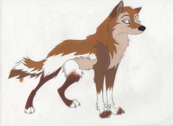 584x425 Light Female Wolf By Zimaro