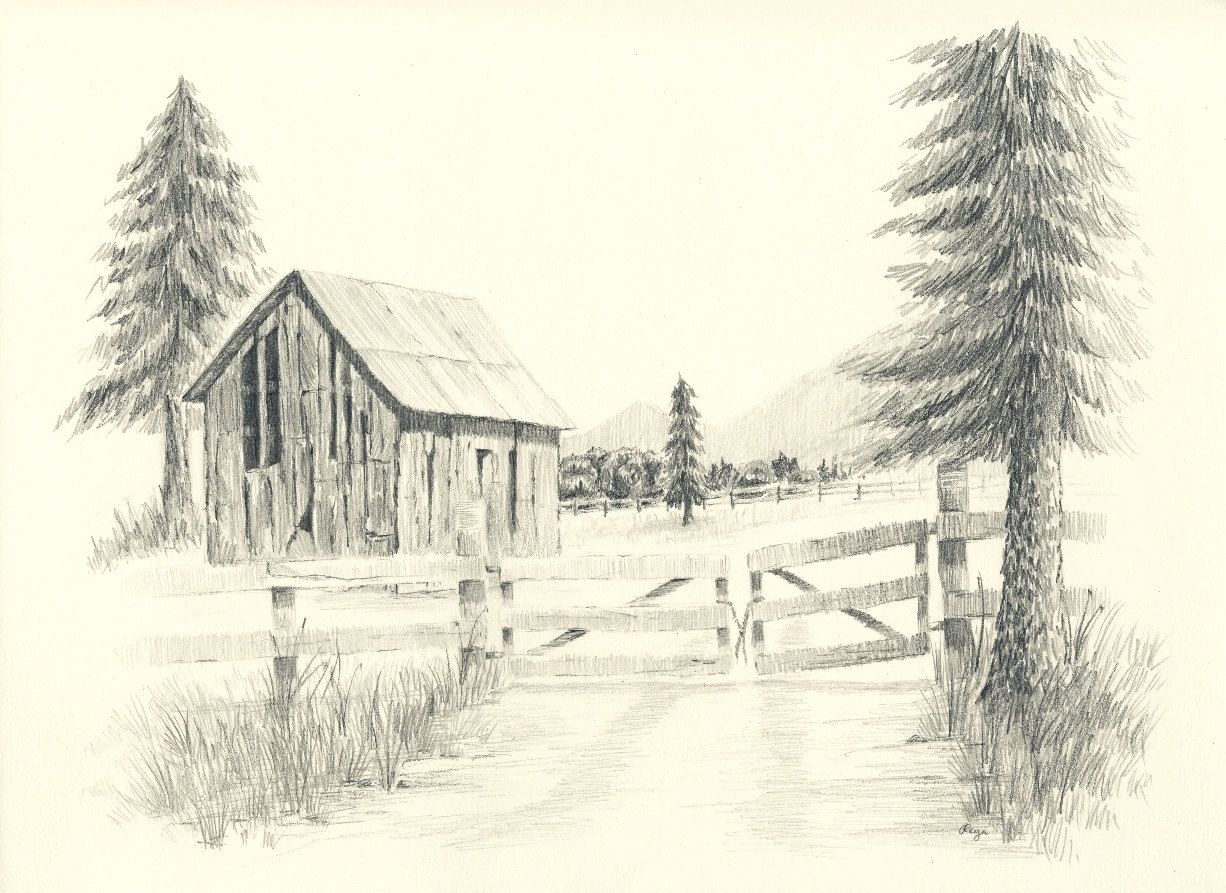 1226x893 Old Ranch Barn Pencil Drawing Print Wood Fences, Pine Tree