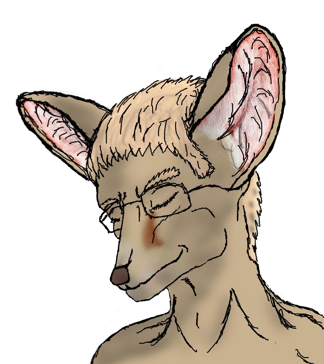 1128x1270 Filefennec Drawing.jpg