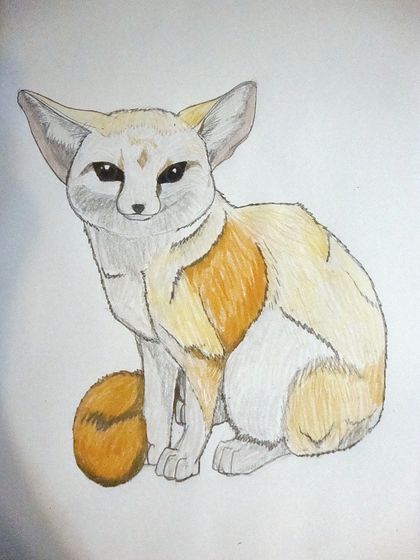 420x560 How To Draw A Fennec Fox (With Pictures)