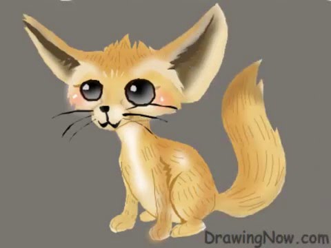 480x360 How To Draw A Fennec Fox