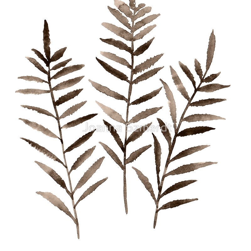 800x800 Three Leaves Fern Watercolor Painting Botanical Poster Drawing