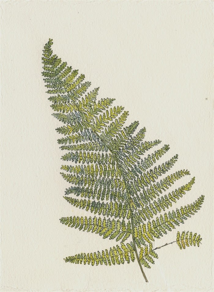 700x956 Linden Tree Painting Glory