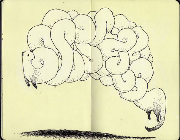 606x472 Ferret Drawing By Ben Sears. They Are Wiggly Little Things Home