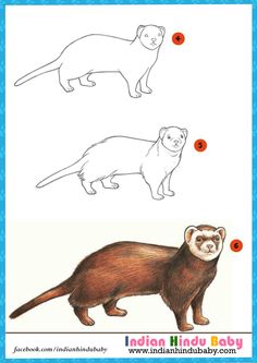 236x333 Teach Your Kid To Draw Cow With Simple Drawing Tips