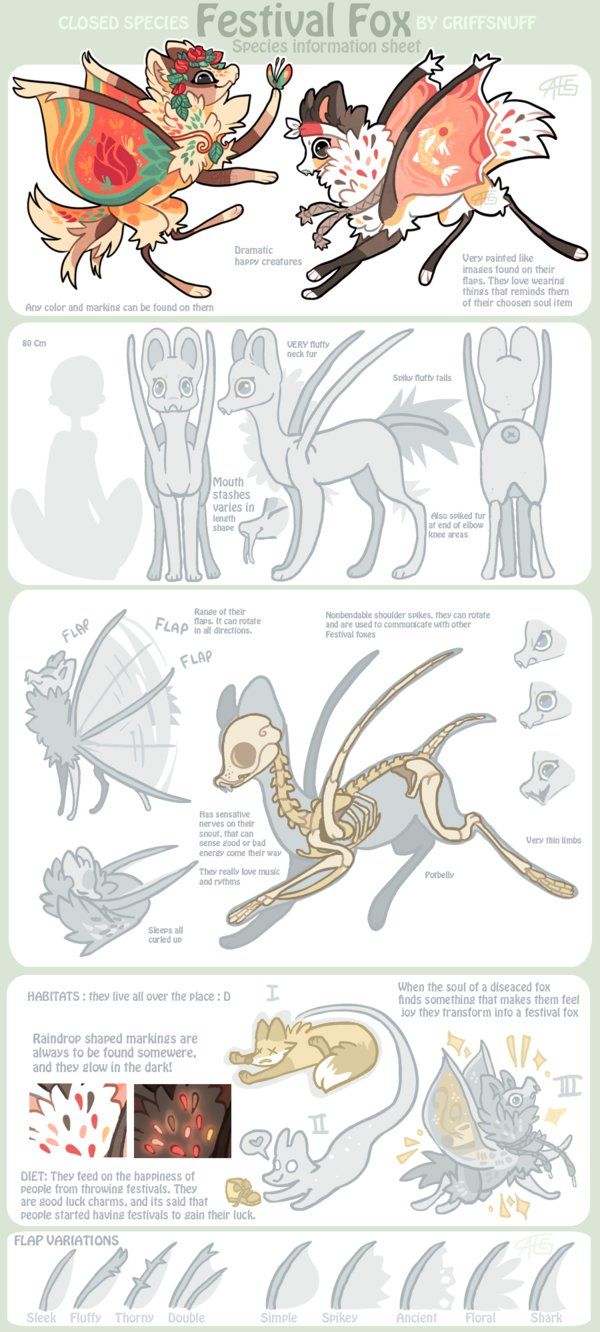 600x1332 Festival Foxes Species Sheet