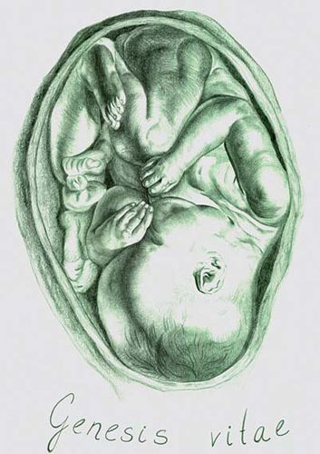 353x500 Genesis Vitae This Painting Depicts A Fully Formed Human Fetus