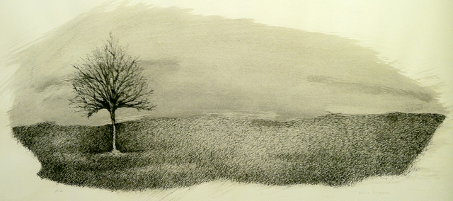 640x284 Marc Lincewicz Artwork Tree In A Field Original Drawing Pen