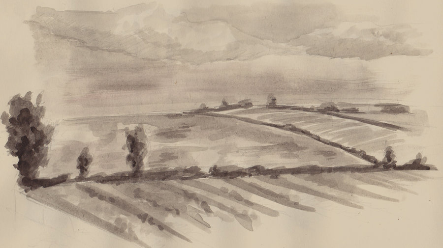 900x505 Field Ink Drawing 1 By Scampi2202