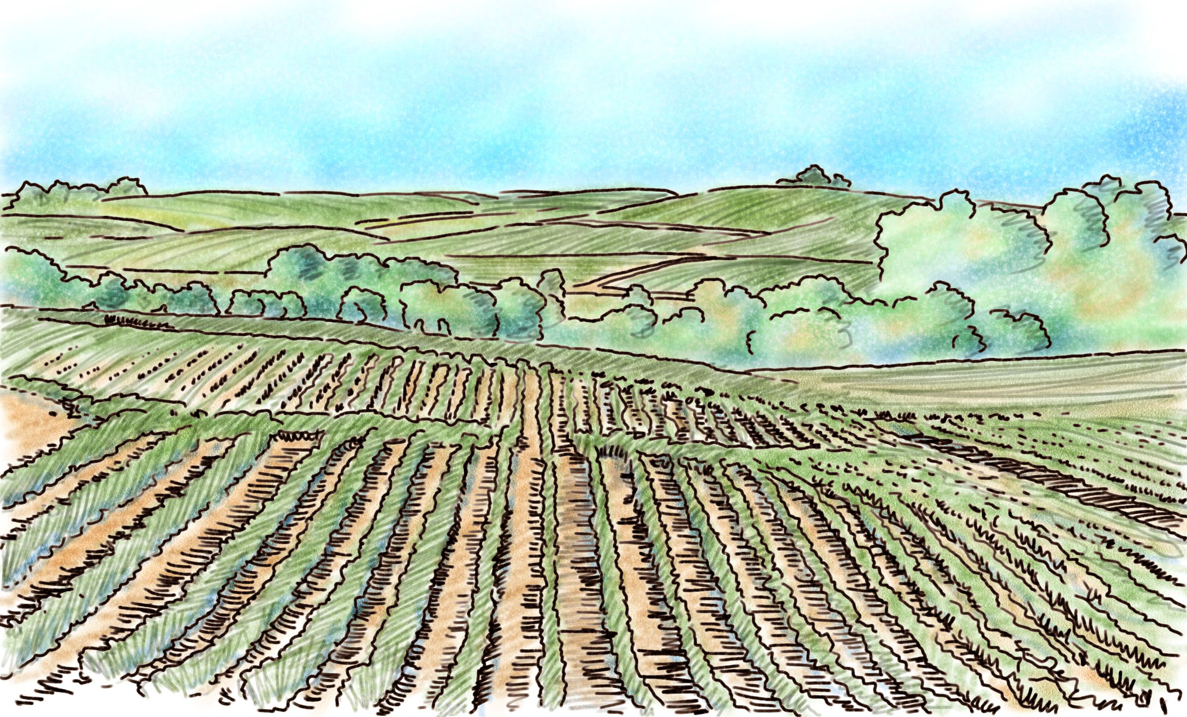 2400x1449 Augustin Luca Farm Fields.jpg Illustration 272
