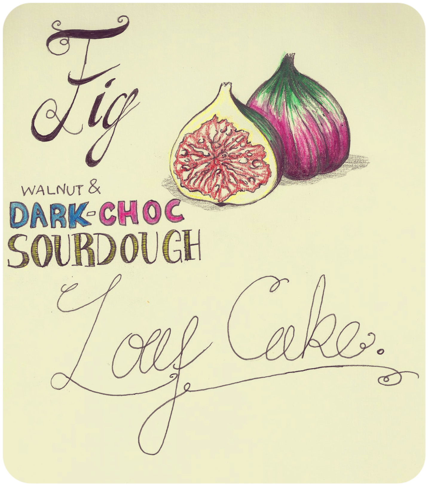 1432x1626 Fig Drawing In Vegetables We Trust