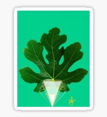 210x230 Fig Leaf Drawing Stickers Redbubble