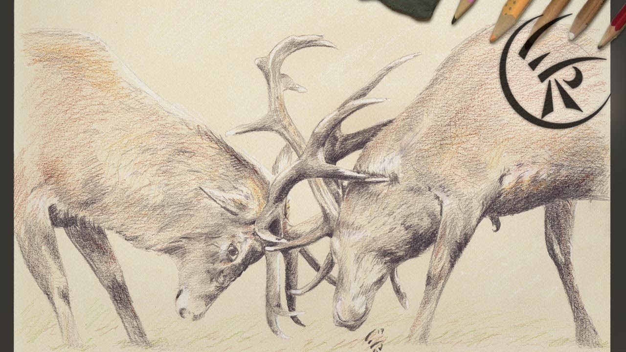 1280x720 Drawing Deer Fight Timelapse