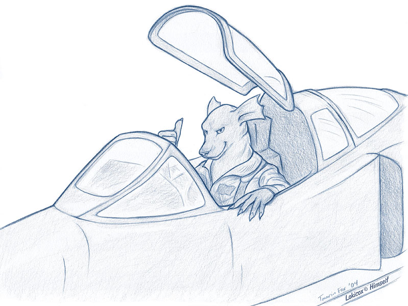 799x600 Fighter Jet How To Draw Fighter Jets