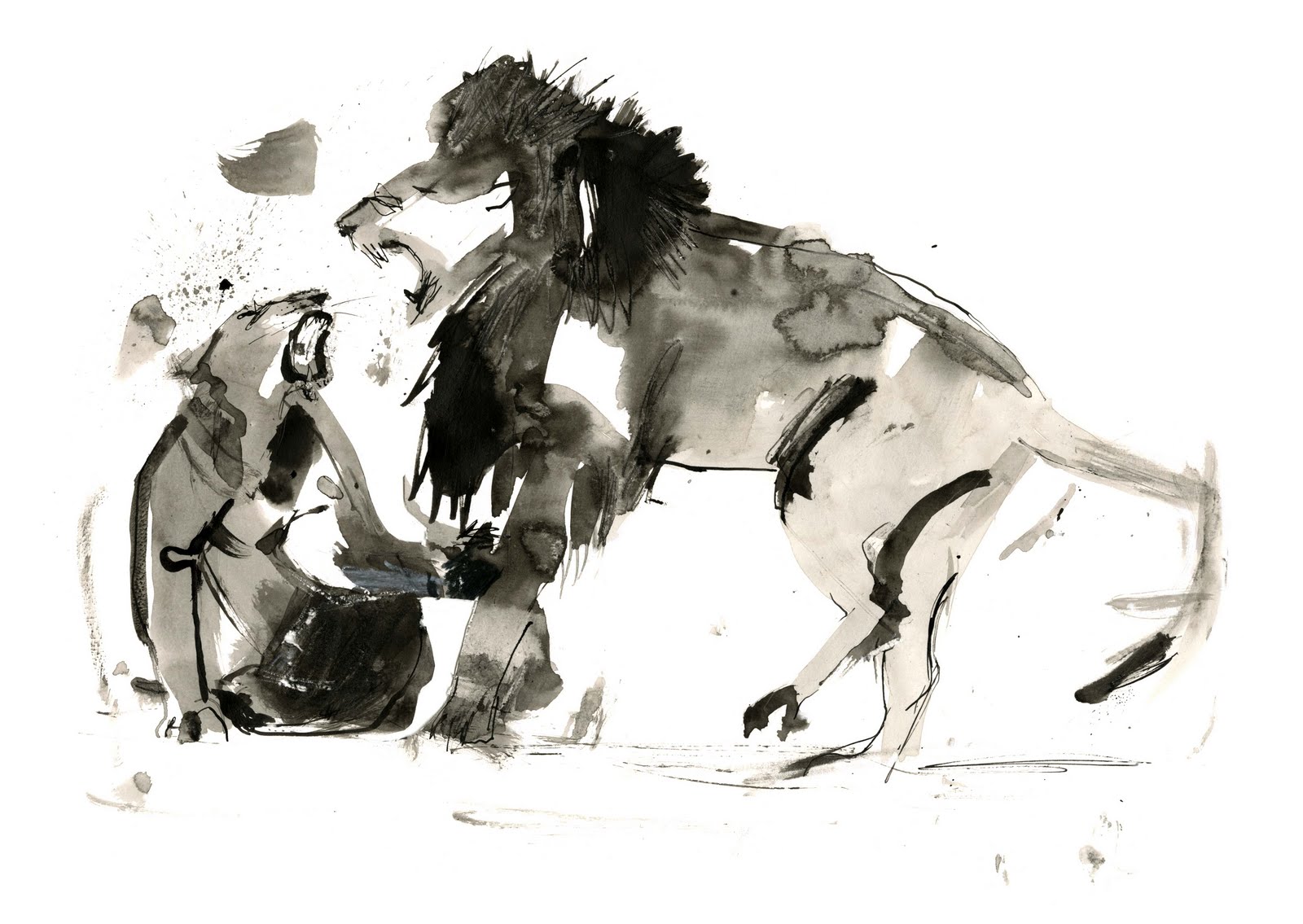 1600x1135 Sarah Maycock Drawing Made From Fighting Lion Video