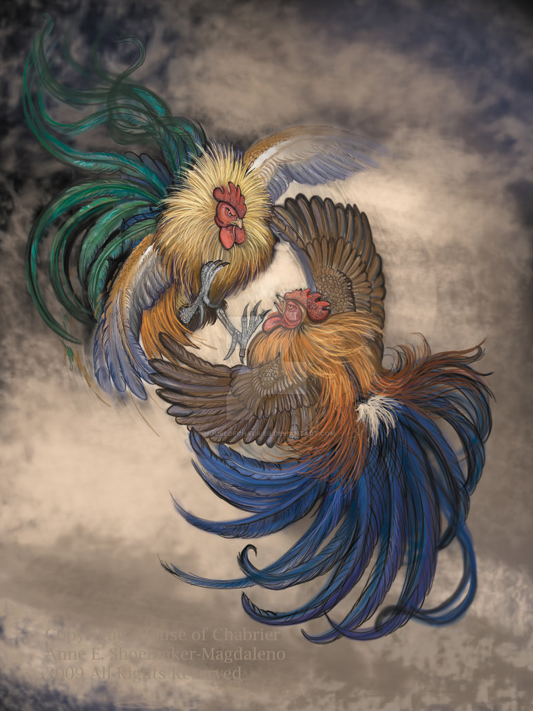 774x1032 Cock Fight Adobephotoshop By Houseofchabrier