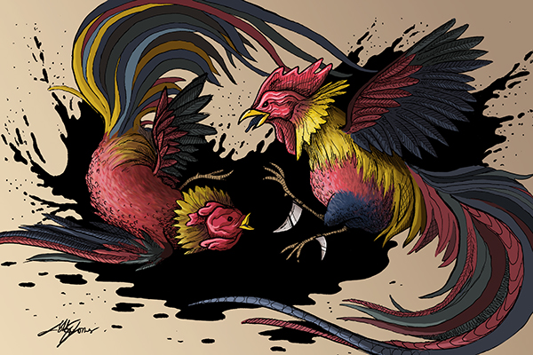 600x400 Cock Fight On Aiga Member Gallery