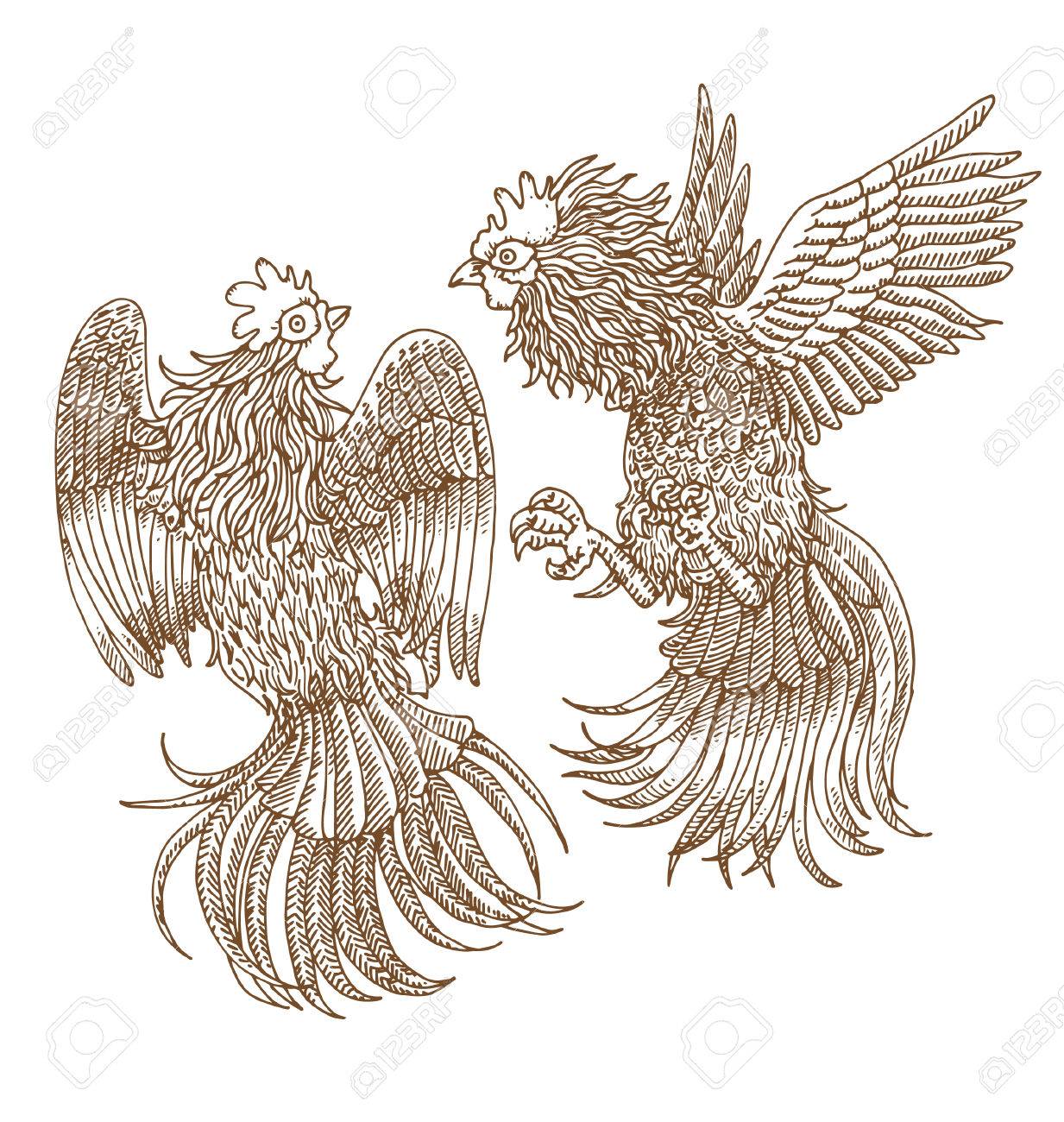 1233x1300 Cock Fighting Royalty Free Cliparts, Vectors, And Stock