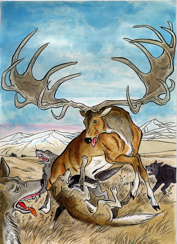 600x824 Megaloceros Fighting Wolves By Dianakennedy