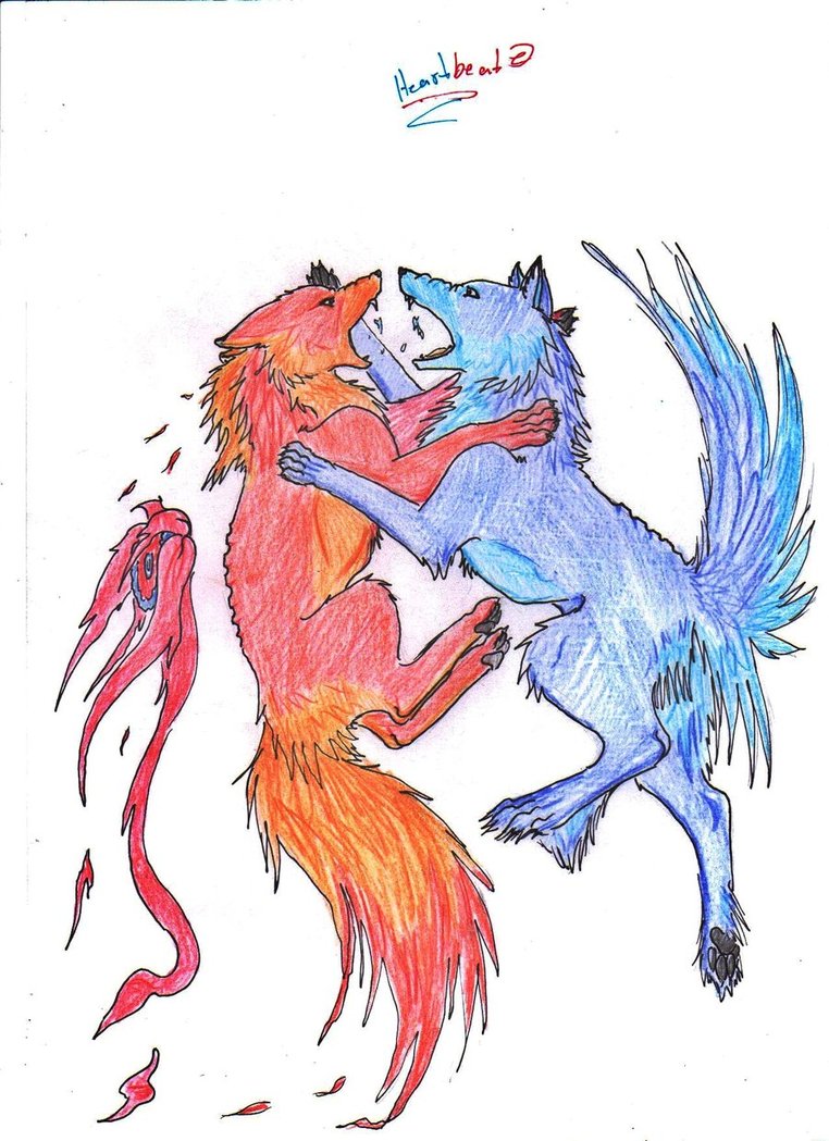 762x1049 Fighting Wolves By Constant Wind