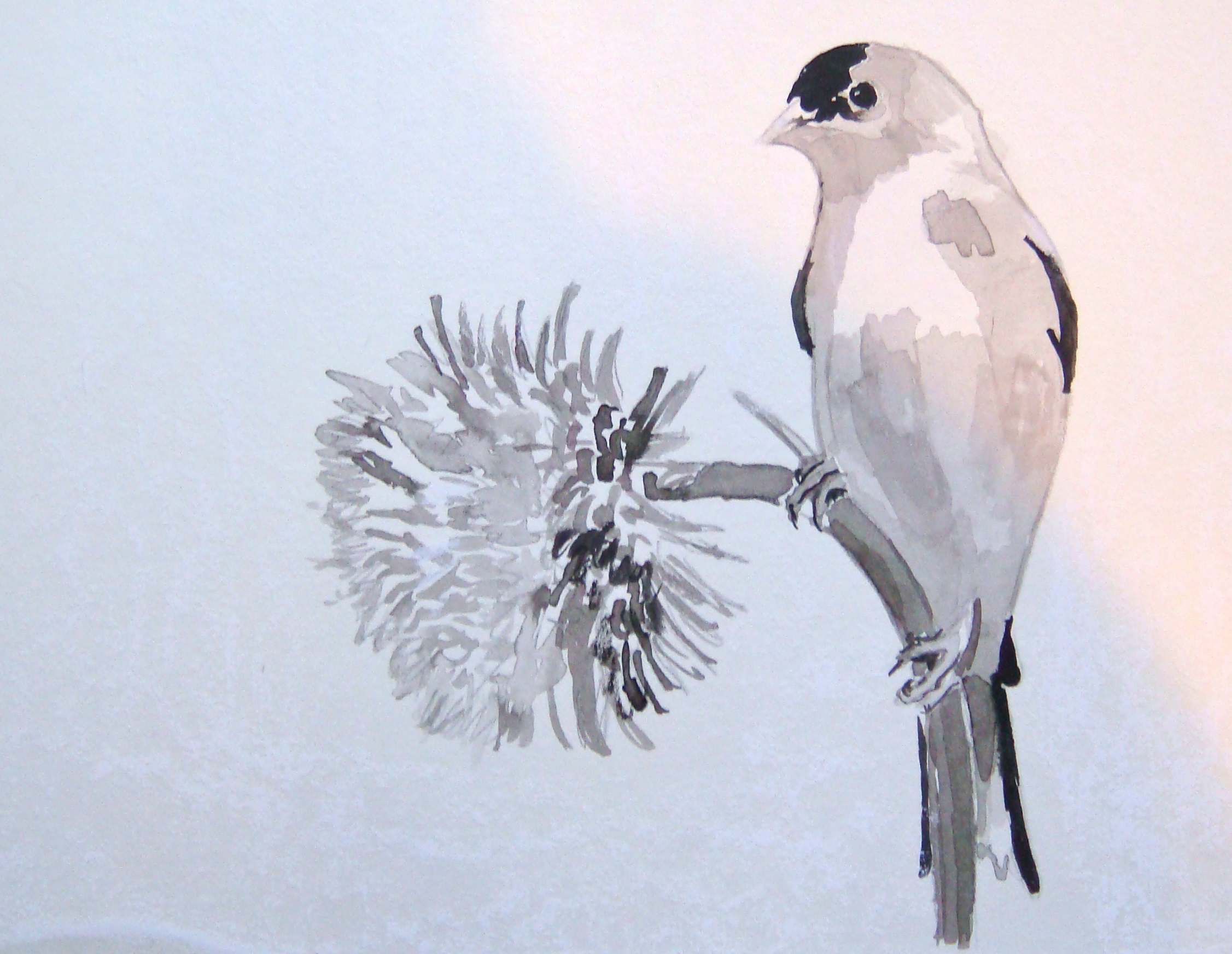 2253x1744 Pen Amp Ink Drawings