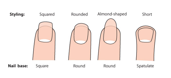 600x276 Human Anatomy Fundamentals How To Draw Hands
