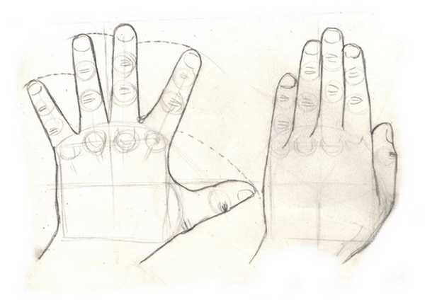 600x424 Drawing Lesson For Beginner Artists Proportions Of The Hand