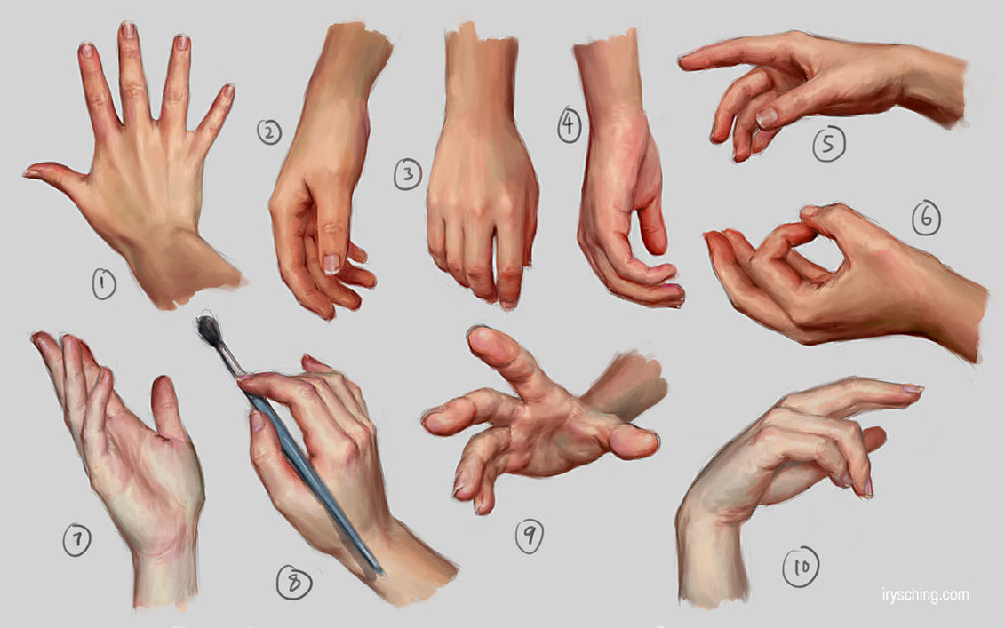 1131x707 Drawing Art People Hands Finger Hand Human Anatomy Digital Fingers