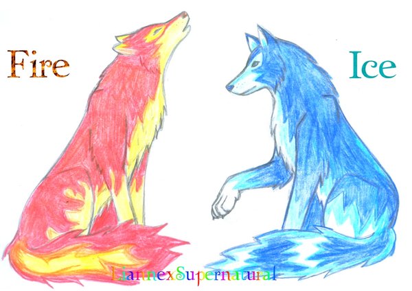 600x424 Fire And Ice Wolves D By Liannexsupernatural
