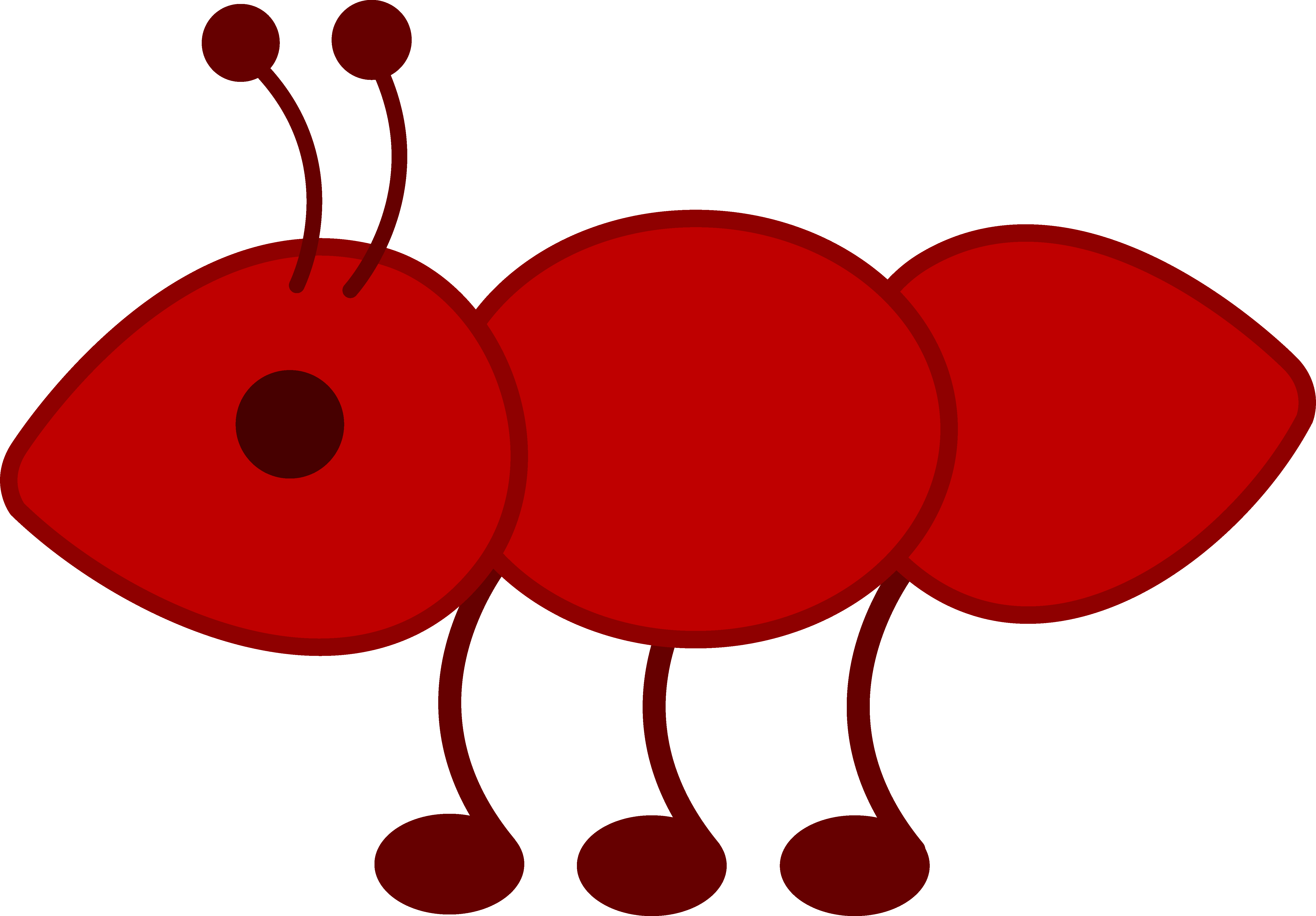 5949x4141 Little Red Ant