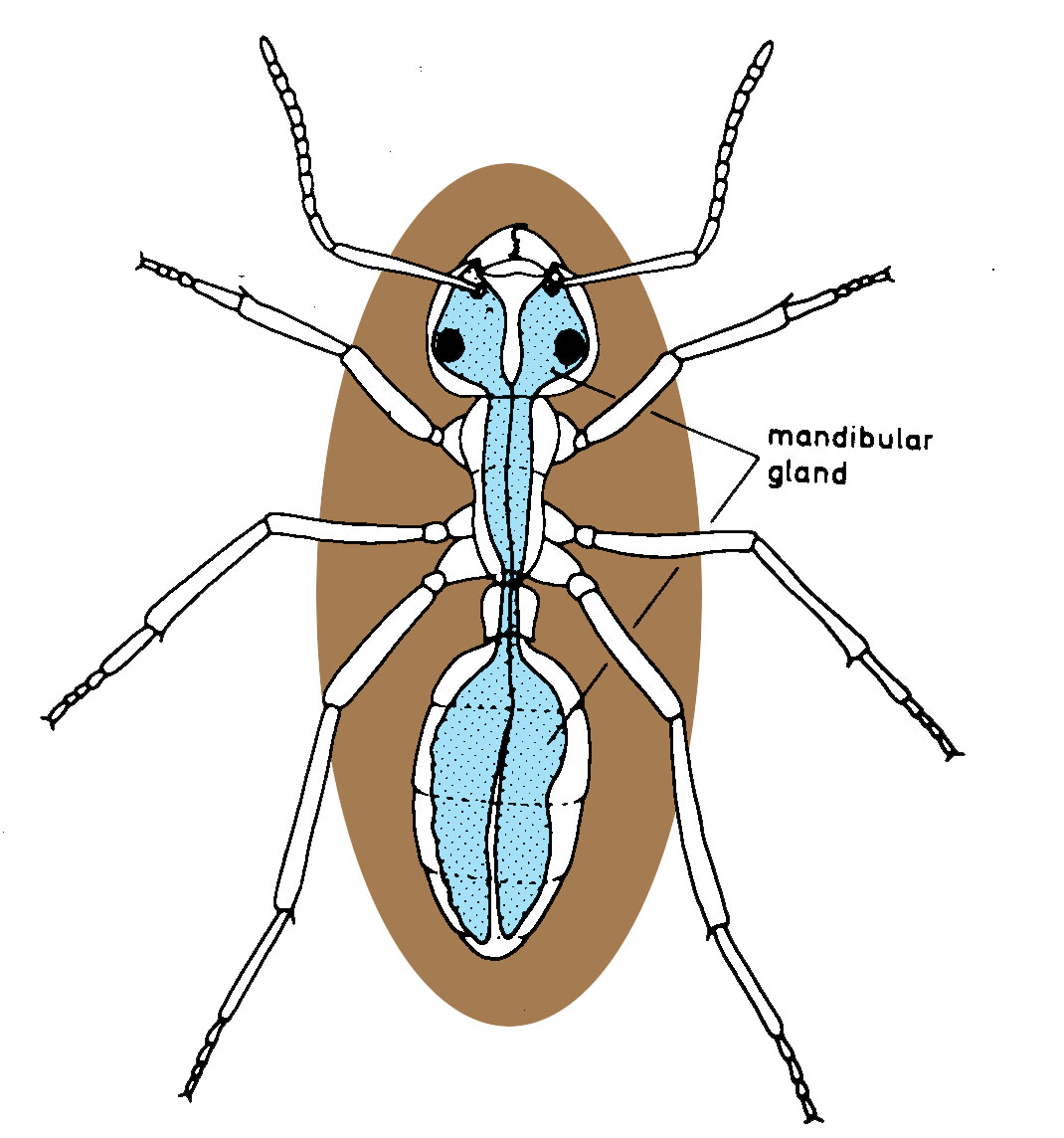 1070x1144 The Field Guide To Super Powers