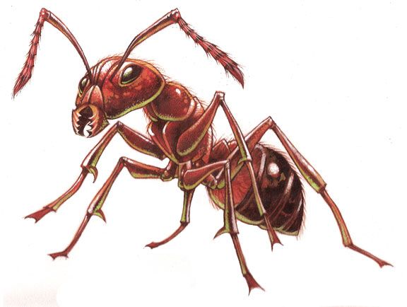 576x434 Traditional Ant.jpg] Mr Van's Art ! He Has A Tutorial For This