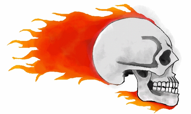 667x401 Fire Skull By Gallia101