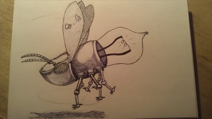 900x506 Steampunk Firefly By Wolfspassion