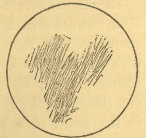 610x576 Drawing Fourth Planet