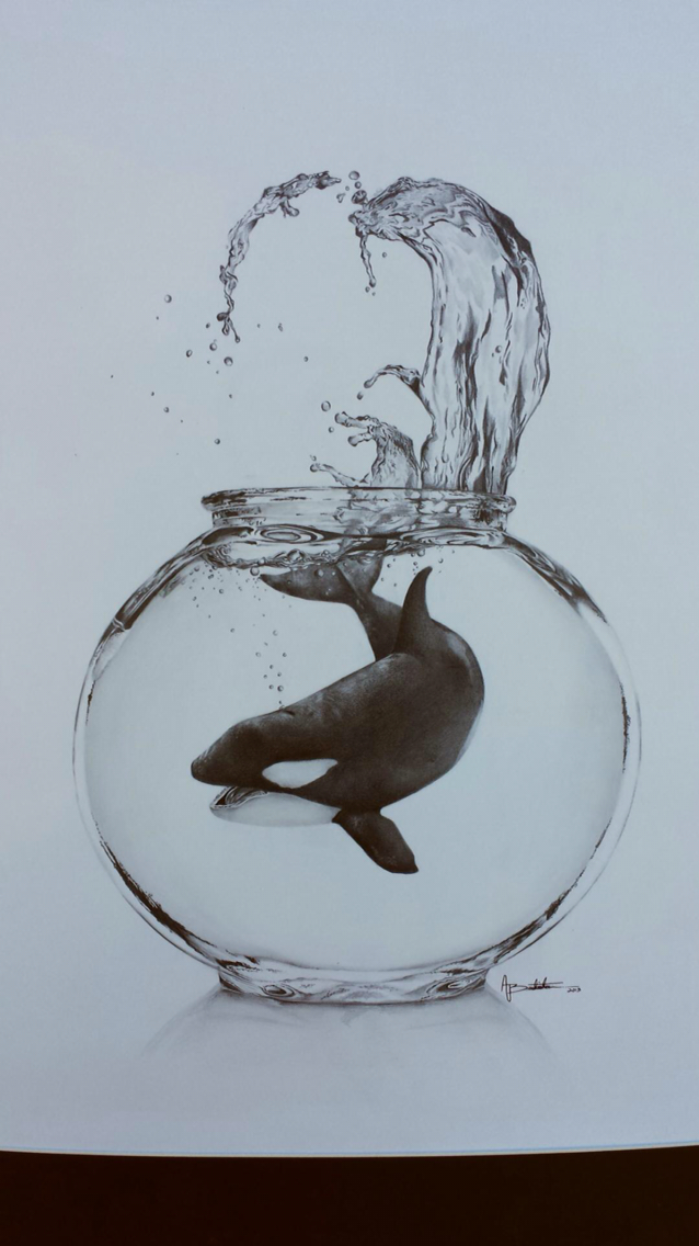 638x1136 Chad Johnson On Killer Whales, Bowls And Fish