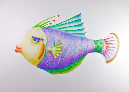 550x393 Grace, Color Pencil Fish Drawing By Karin Phifer