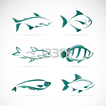 450x450 Fish Drawing Stock Photos. Royalty Free Business Images