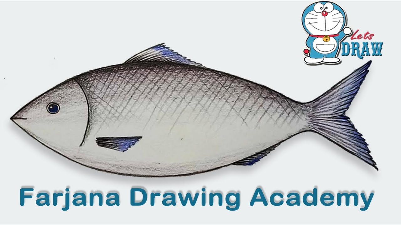 1280x720 How To Draw A Fish Step By Step (Very Easy)