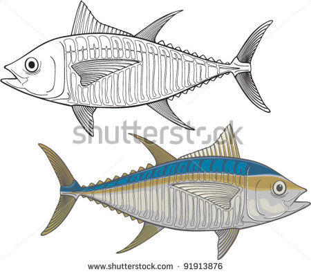 450x396 Drawing Of A Fish Template