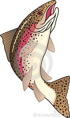 236x397 Rainbow Trout Drawing Template Rainbow Trout (Landscape