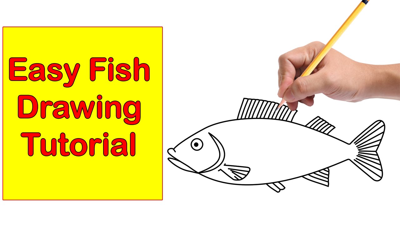 1280x720 Fish Drawing Easy Tutorial How To Draw A Fish Step By Step