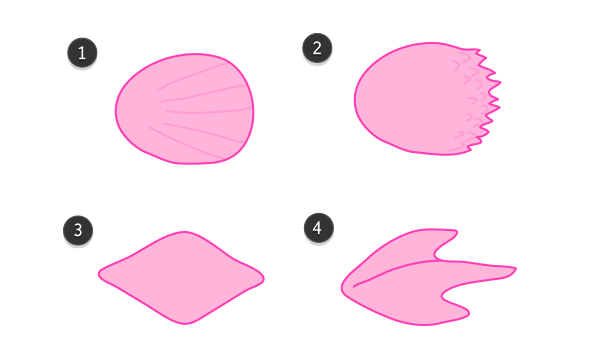600x360 Fish Scales Types Draw Animation Animals Fish