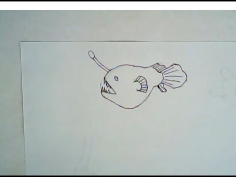 480x360 How To Draw An Angler Fish (Simple Drawing)
