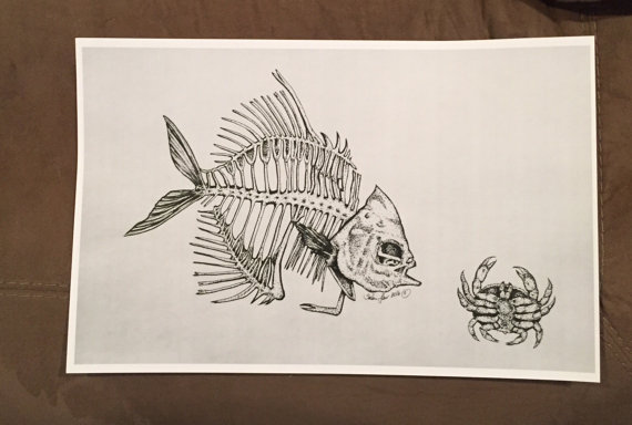 570x384 Fish Skeleton Drawing Print Permit With Crab